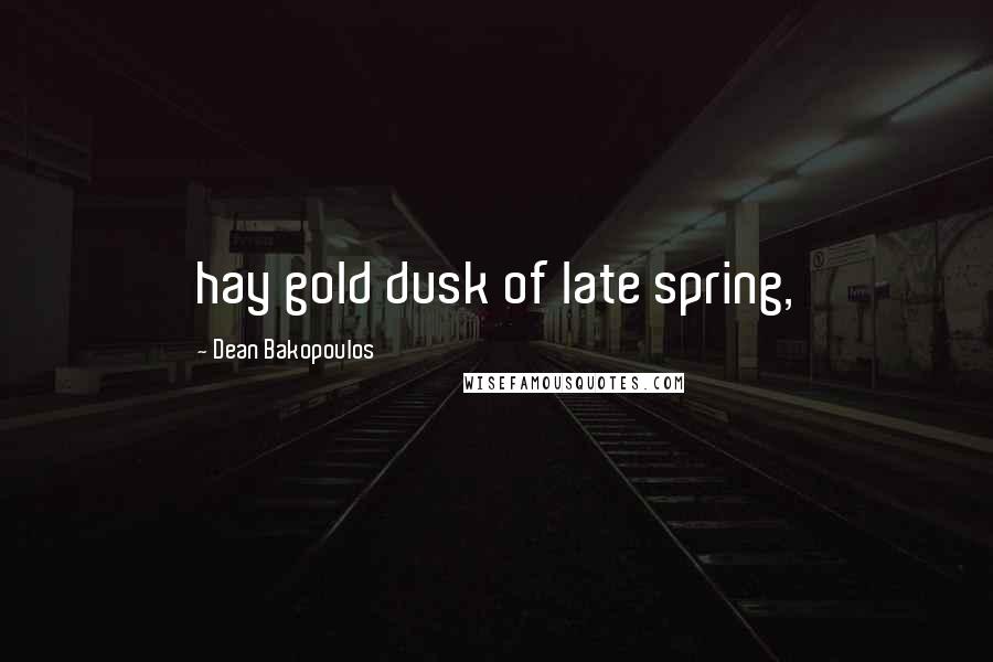 Dean Bakopoulos Quotes: hay gold dusk of late spring,