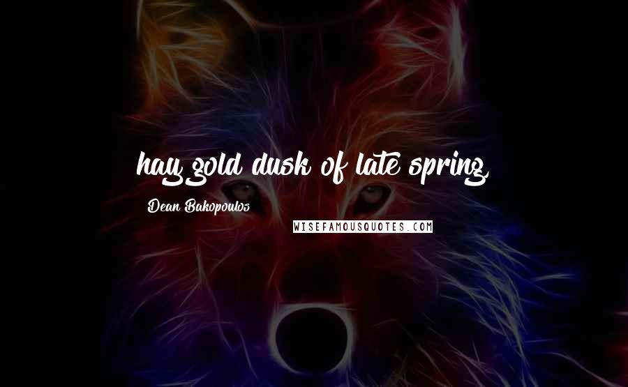 Dean Bakopoulos Quotes: hay gold dusk of late spring,