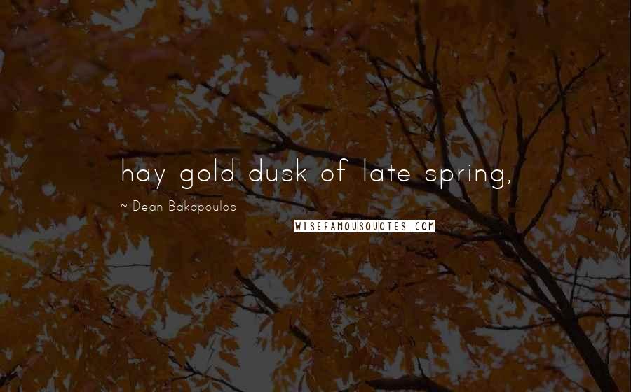 Dean Bakopoulos Quotes: hay gold dusk of late spring,