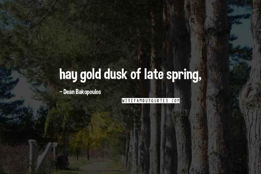 Dean Bakopoulos Quotes: hay gold dusk of late spring,