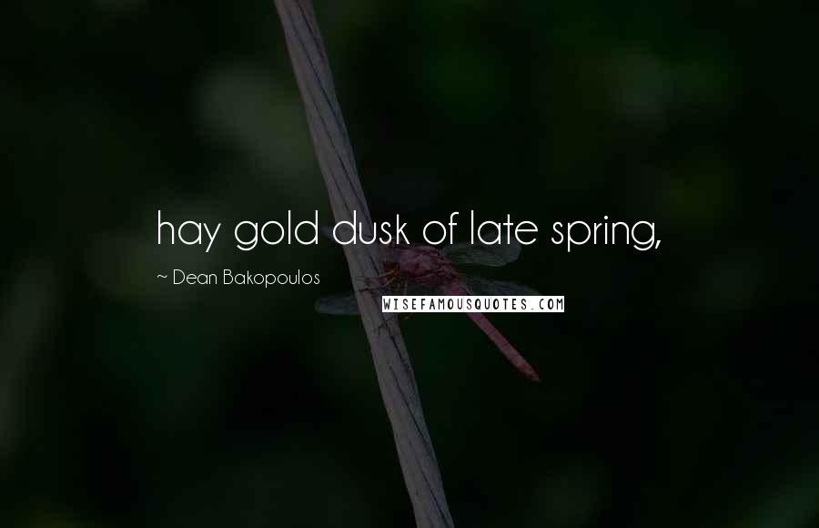 Dean Bakopoulos Quotes: hay gold dusk of late spring,