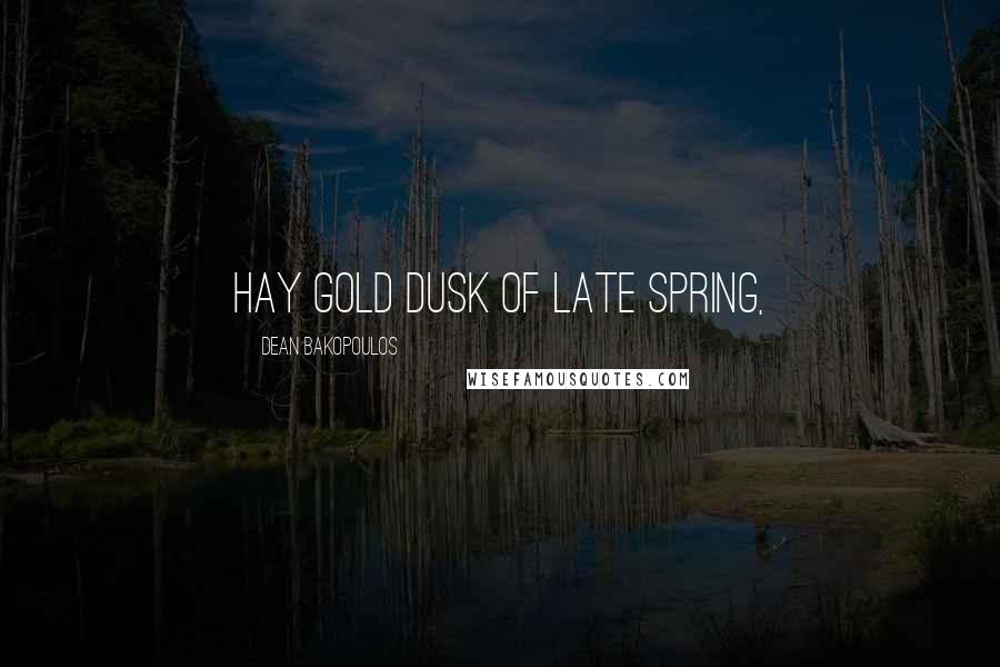 Dean Bakopoulos Quotes: hay gold dusk of late spring,