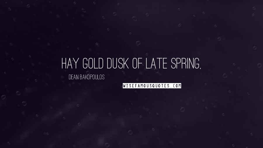 Dean Bakopoulos Quotes: hay gold dusk of late spring,