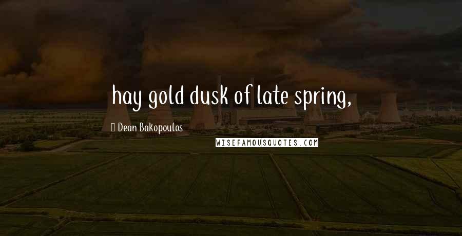 Dean Bakopoulos Quotes: hay gold dusk of late spring,