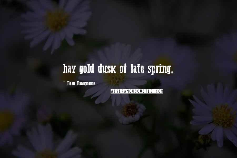 Dean Bakopoulos Quotes: hay gold dusk of late spring,