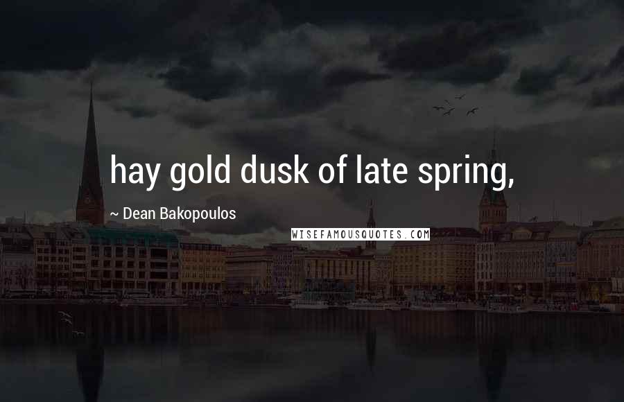 Dean Bakopoulos Quotes: hay gold dusk of late spring,