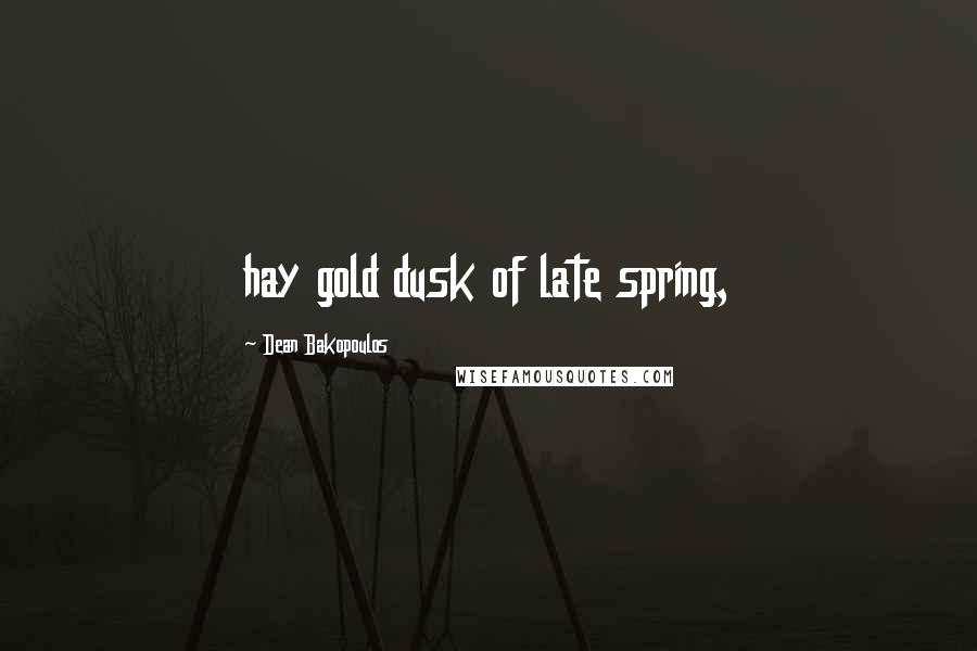 Dean Bakopoulos Quotes: hay gold dusk of late spring,