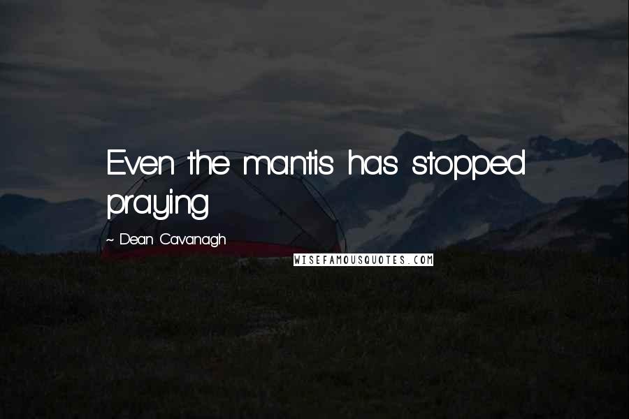 Dean Cavanagh Quotes: Even the mantis has stopped praying