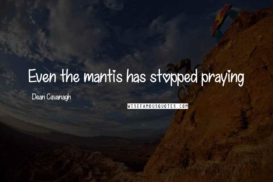Dean Cavanagh Quotes: Even the mantis has stopped praying