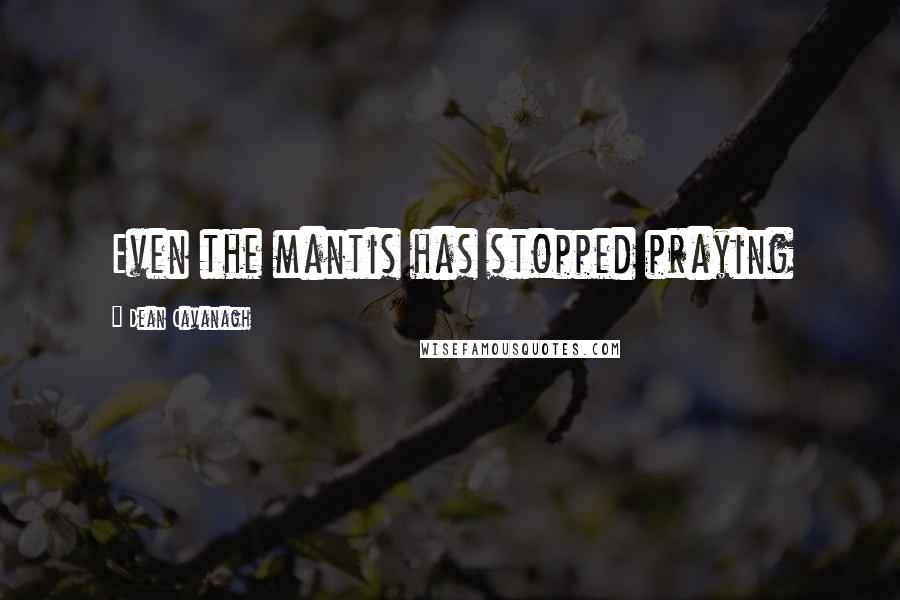 Dean Cavanagh Quotes: Even the mantis has stopped praying