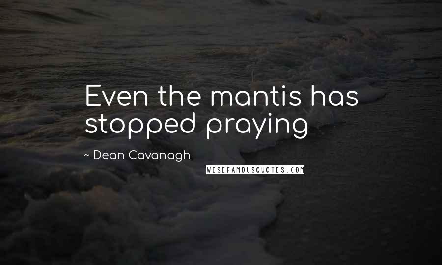 Dean Cavanagh Quotes: Even the mantis has stopped praying