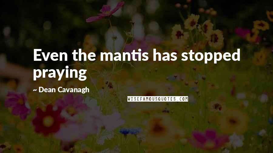 Dean Cavanagh Quotes: Even the mantis has stopped praying