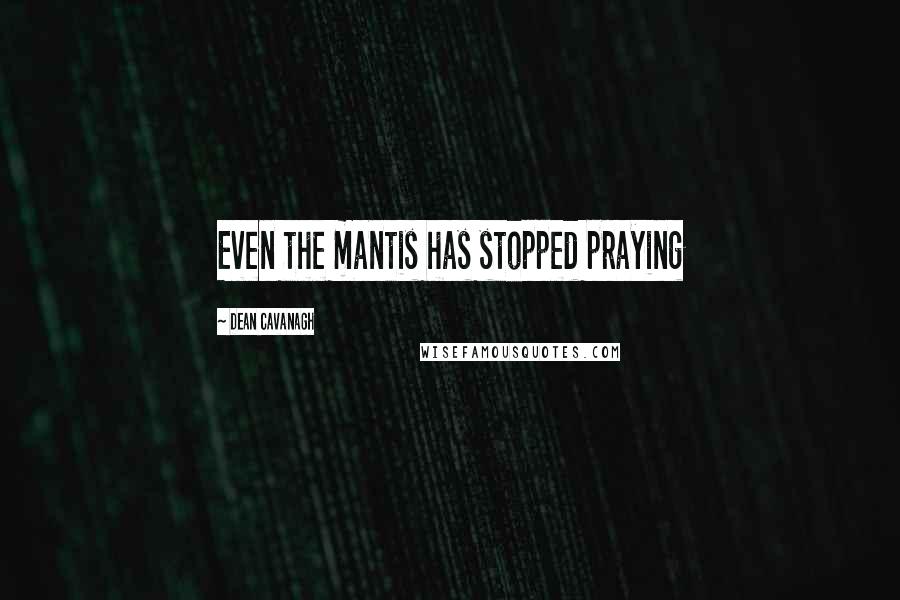 Dean Cavanagh Quotes: Even the mantis has stopped praying