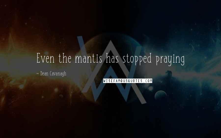 Dean Cavanagh Quotes: Even the mantis has stopped praying