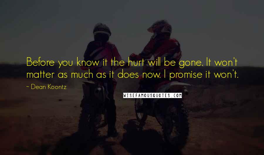 Dean Koontz Quotes: Before you know it the hurt will be gone. It won't matter as much as it does now. I promise it won't.