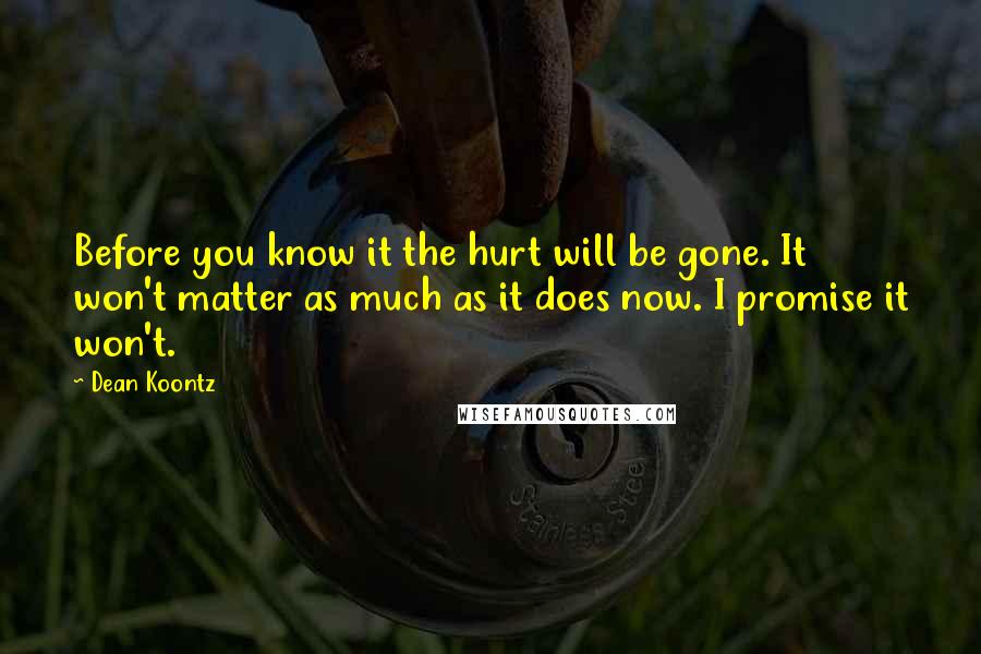 Dean Koontz Quotes: Before you know it the hurt will be gone. It won't matter as much as it does now. I promise it won't.