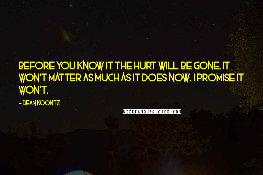 Dean Koontz Quotes: Before you know it the hurt will be gone. It won't matter as much as it does now. I promise it won't.