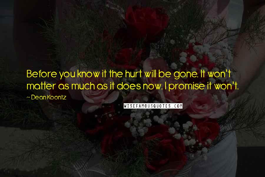 Dean Koontz Quotes: Before you know it the hurt will be gone. It won't matter as much as it does now. I promise it won't.