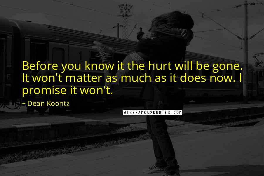 Dean Koontz Quotes: Before you know it the hurt will be gone. It won't matter as much as it does now. I promise it won't.