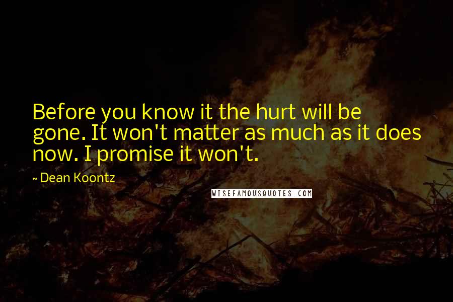 Dean Koontz Quotes: Before you know it the hurt will be gone. It won't matter as much as it does now. I promise it won't.