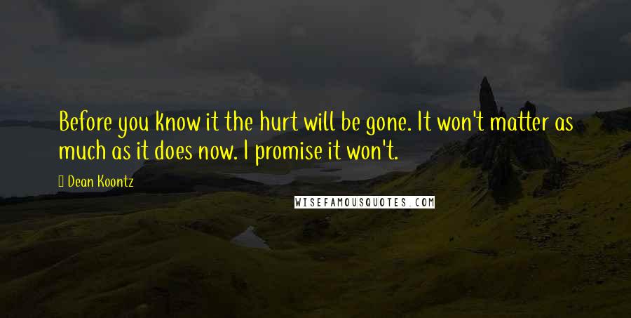 Dean Koontz Quotes: Before you know it the hurt will be gone. It won't matter as much as it does now. I promise it won't.