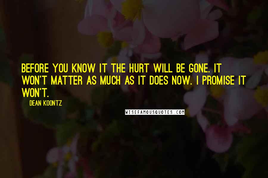 Dean Koontz Quotes: Before you know it the hurt will be gone. It won't matter as much as it does now. I promise it won't.