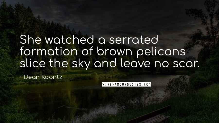 Dean Koontz Quotes: She watched a serrated formation of brown pelicans slice the sky and leave no scar.