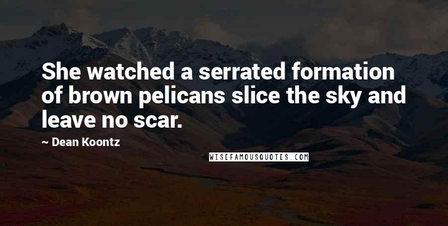 Dean Koontz Quotes: She watched a serrated formation of brown pelicans slice the sky and leave no scar.