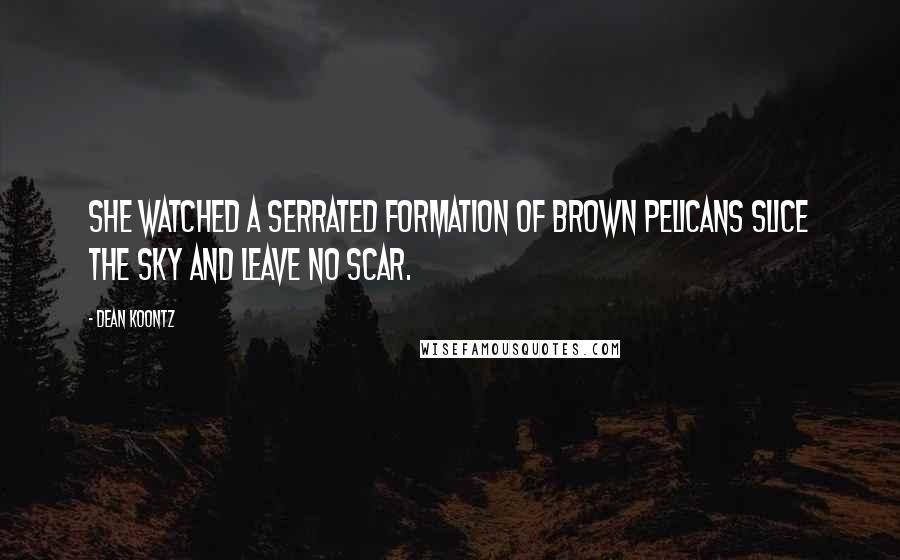 Dean Koontz Quotes: She watched a serrated formation of brown pelicans slice the sky and leave no scar.