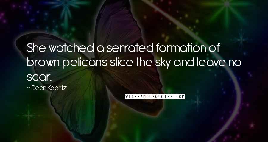 Dean Koontz Quotes: She watched a serrated formation of brown pelicans slice the sky and leave no scar.