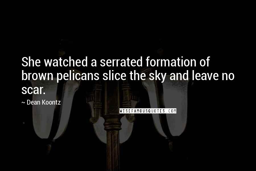 Dean Koontz Quotes: She watched a serrated formation of brown pelicans slice the sky and leave no scar.