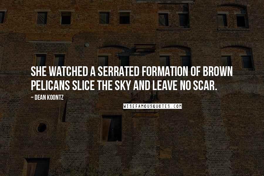 Dean Koontz Quotes: She watched a serrated formation of brown pelicans slice the sky and leave no scar.