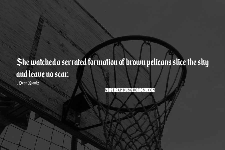 Dean Koontz Quotes: She watched a serrated formation of brown pelicans slice the sky and leave no scar.