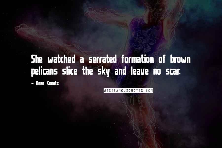 Dean Koontz Quotes: She watched a serrated formation of brown pelicans slice the sky and leave no scar.
