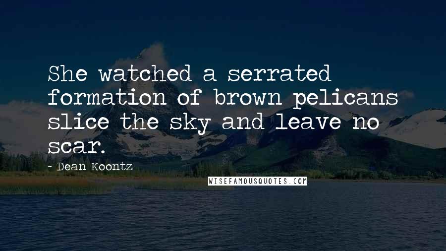 Dean Koontz Quotes: She watched a serrated formation of brown pelicans slice the sky and leave no scar.