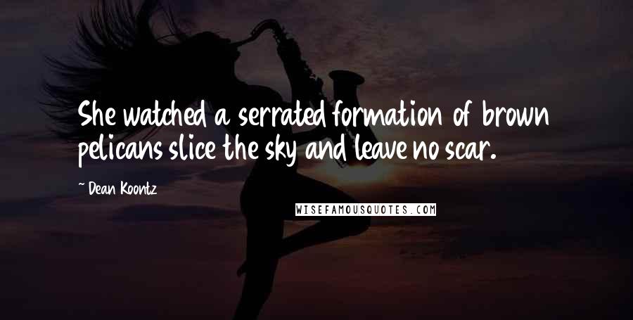 Dean Koontz Quotes: She watched a serrated formation of brown pelicans slice the sky and leave no scar.