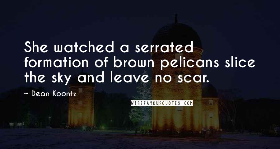 Dean Koontz Quotes: She watched a serrated formation of brown pelicans slice the sky and leave no scar.