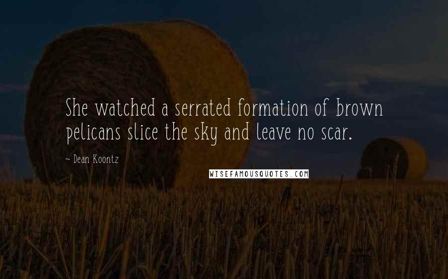 Dean Koontz Quotes: She watched a serrated formation of brown pelicans slice the sky and leave no scar.