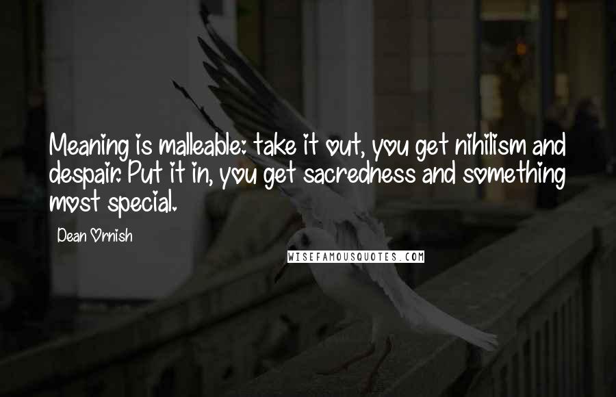 Dean Ornish Quotes: Meaning is malleable: take it out, you get nihilism and despair. Put it in, you get sacredness and something most special.