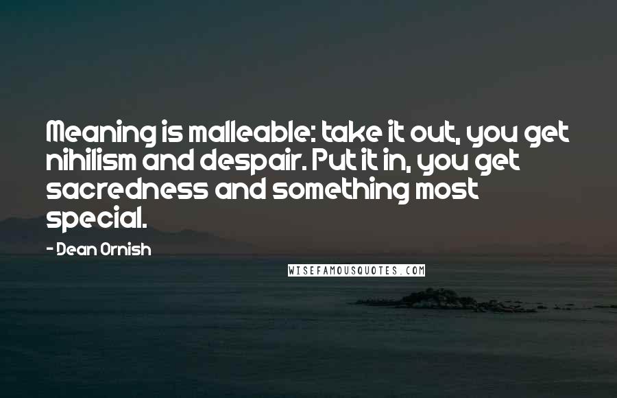 Dean Ornish Quotes: Meaning is malleable: take it out, you get nihilism and despair. Put it in, you get sacredness and something most special.