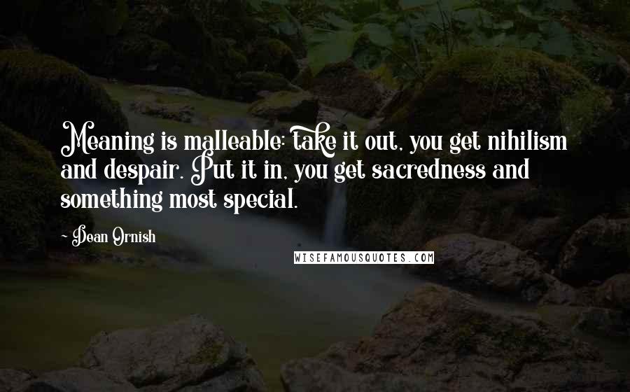 Dean Ornish Quotes: Meaning is malleable: take it out, you get nihilism and despair. Put it in, you get sacredness and something most special.