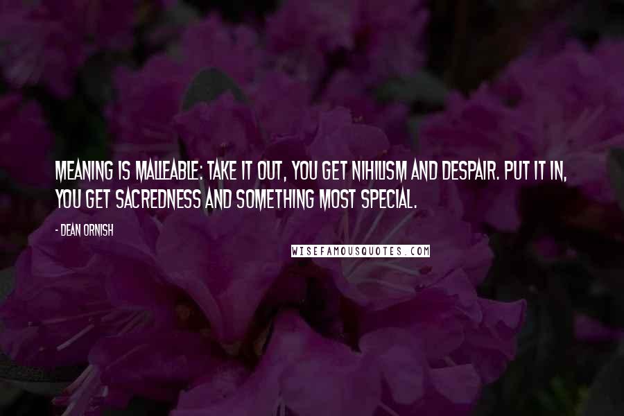 Dean Ornish Quotes: Meaning is malleable: take it out, you get nihilism and despair. Put it in, you get sacredness and something most special.