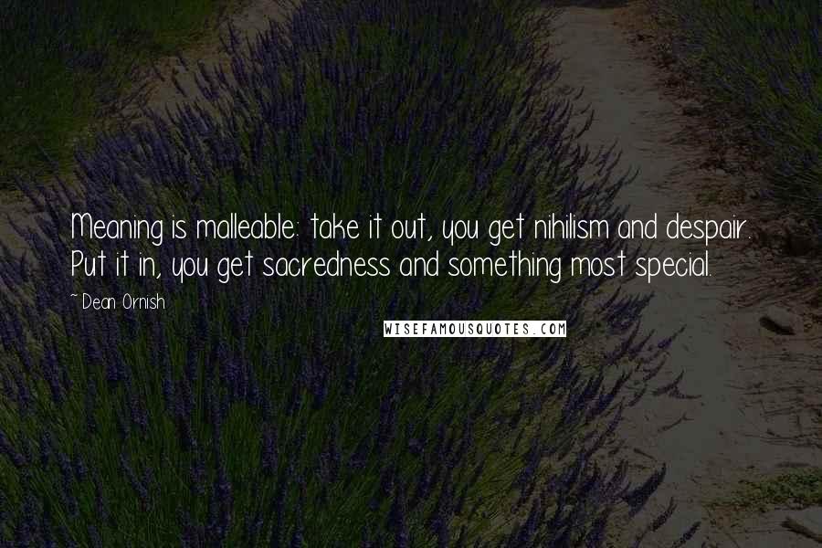 Dean Ornish Quotes: Meaning is malleable: take it out, you get nihilism and despair. Put it in, you get sacredness and something most special.