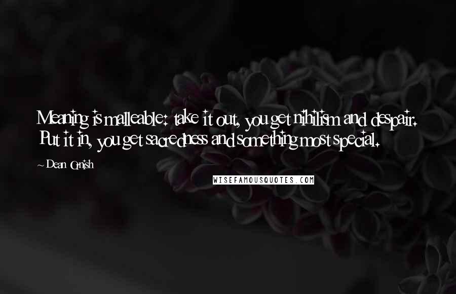 Dean Ornish Quotes: Meaning is malleable: take it out, you get nihilism and despair. Put it in, you get sacredness and something most special.