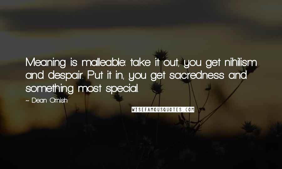 Dean Ornish Quotes: Meaning is malleable: take it out, you get nihilism and despair. Put it in, you get sacredness and something most special.