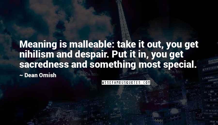 Dean Ornish Quotes: Meaning is malleable: take it out, you get nihilism and despair. Put it in, you get sacredness and something most special.