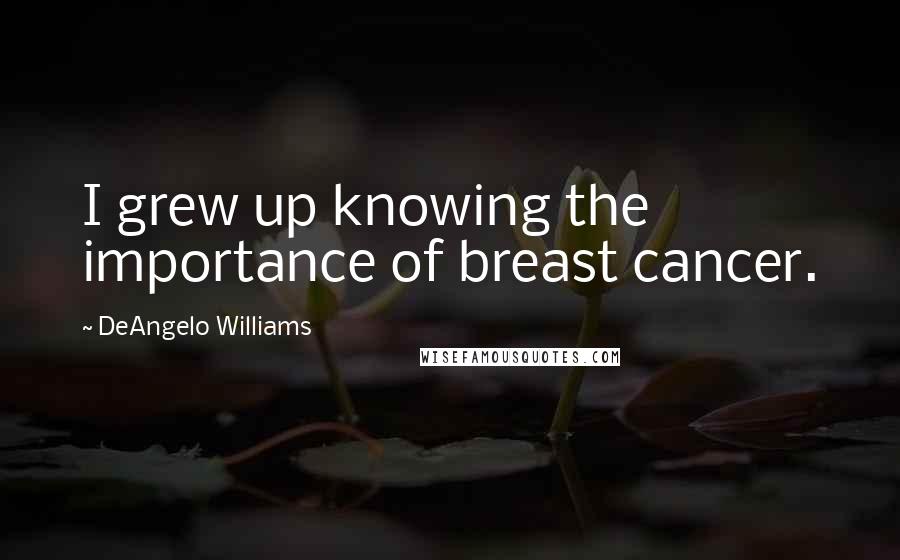 DeAngelo Williams Quotes: I grew up knowing the importance of breast cancer.