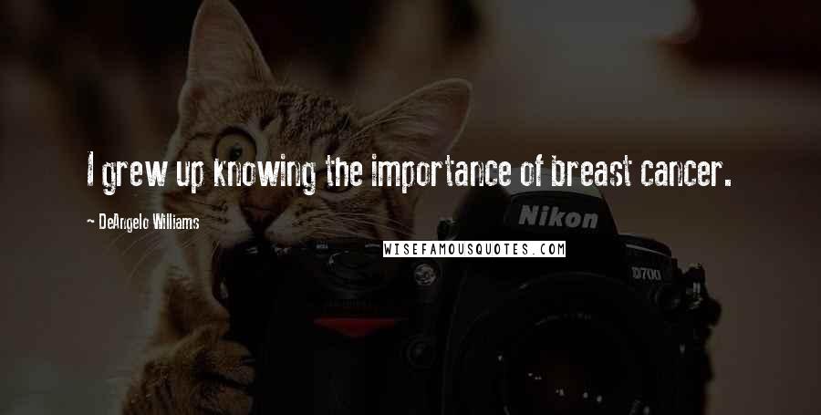 DeAngelo Williams Quotes: I grew up knowing the importance of breast cancer.
