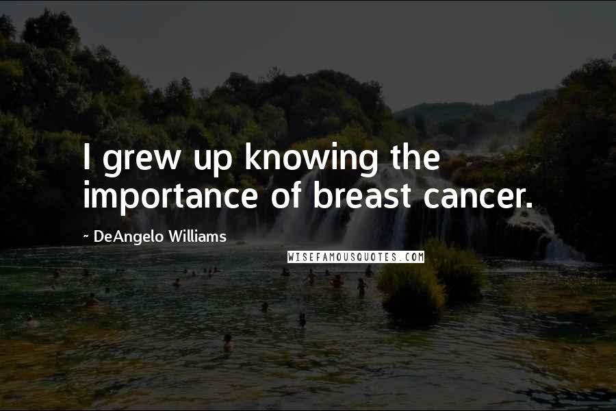 DeAngelo Williams Quotes: I grew up knowing the importance of breast cancer.