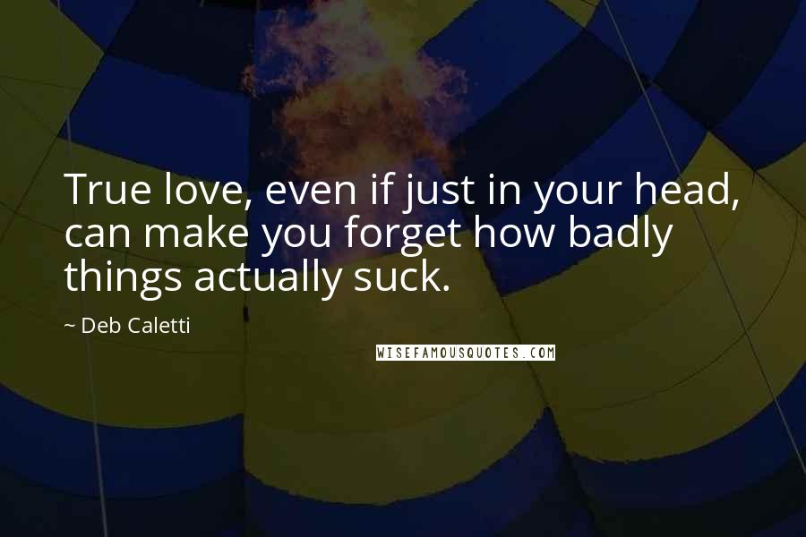 Deb Caletti Quotes: True love, even if just in your head, can make you forget how badly things actually suck.